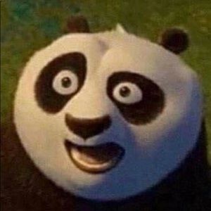 Meet your Posher, Carter